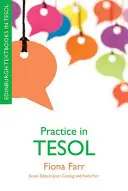 Practica în TESOL - Practice in TESOL