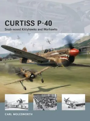 Curtiss P-40: Snub-Nosed Kittyhawks și Warhawks - Curtiss P-40: Snub-Nosed Kittyhawks and Warhawks