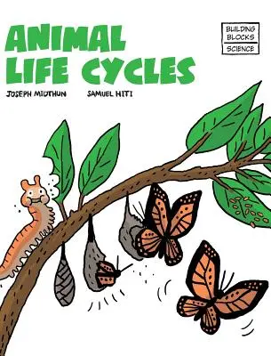 Ciclurile de viață ale animalelor - Animal Life Cycles