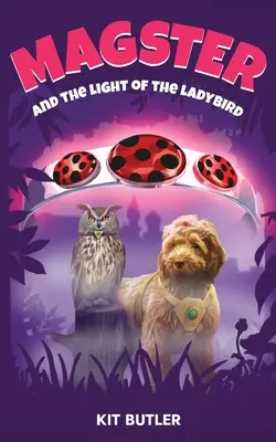 Magster and the Light of the Ladybird (Magster și Lumina Buburuzei) - Magster and the Light of the Ladybird