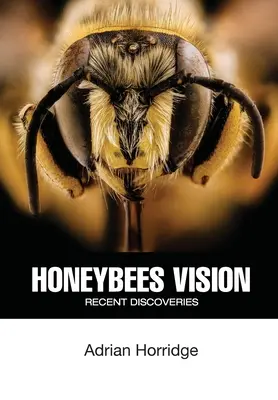 Viziunea albinelor: Descoperiri recente - Honeybees Vision: Recent Discoveries