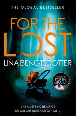 Pentru cei pierduți - For the Lost