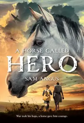 Un cal numit erou - A Horse Called Hero