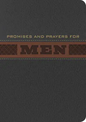 Promisiuni și rugăciuni pentru bărbați - Promises and Prayers for Men