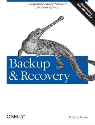 Backup și recuperare: Soluții de backup necostisitoare pentru sisteme deschise - Backup & Recovery: Inexpensive Backup Solutions for Open Systems
