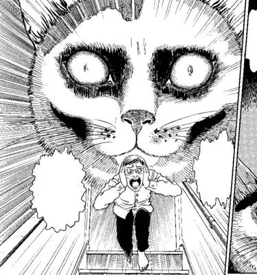 Junji Ito's Cat Diary: Yon & Mu Collector's Edition