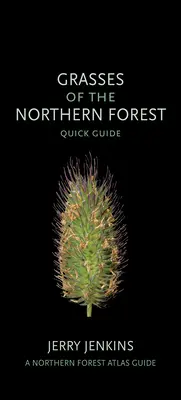 Ierburi din Pădurea de Nord: Ghid rapid - Grasses of the Northern Forest: Quick Guide