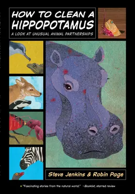Cum să cureți un hipopotam: O privire asupra parteneriatelor neobișnuite dintre animale - How to Clean a Hippopotamus: A Look at Unusual Animal Partnerships