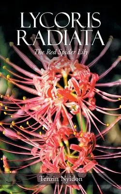 Lycoris Radiata: Crinul păianjen roșu - Lycoris Radiata: The Red Spider Lily