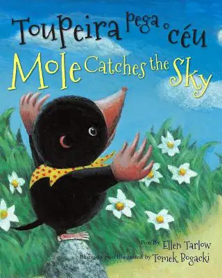 Mole Catches the Sky (portugheză/engleză) - Mole Catches the Sky (Portuguese/English)