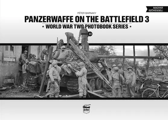 Panzerwaffe pe câmpul de luptă 3 - Panzerwaffe on the Battlefield 3