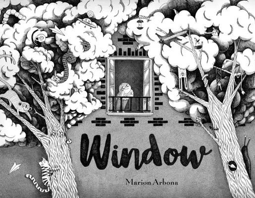 Fereastra - Window
