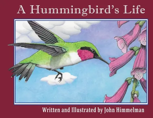 Viața unei păsări colibri - A Hummingbird's Life