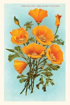 Jurnal de epocă California Poppies - Vintage Journal California Poppies