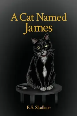 O pisică pe nume James - A Cat Named James