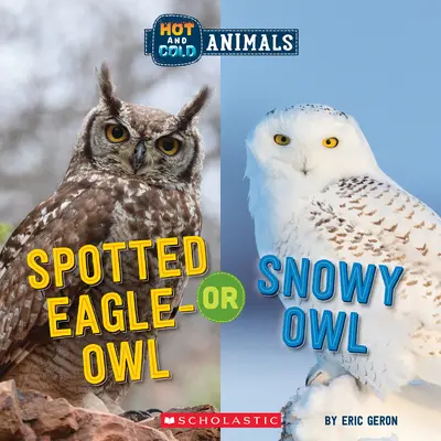 Bufnița pestriță sau bufnița de zăpadă (Animale calde și reci) - Spotted Eagle-Owl or Snowy Owl (Hot and Cold Animals)