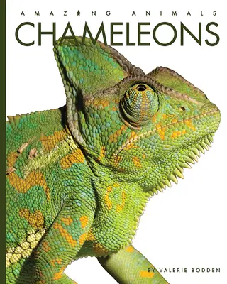 Cameleoni - Chameleons