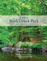 Un an în Rock Creek Park: Inima sălbatică și împădurită a orașului Washington, DC - A Year in Rock Creek Park: The Wild, Wooded Heart of Washington, DC