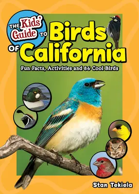 The Kids' Guide to Birds of California (Ghidul copiilor pentru păsările din California): Fapte amuzante, activități și 86 de păsări interesante - The Kids' Guide to Birds of California: Fun Facts, Activities and 86 Cool Birds