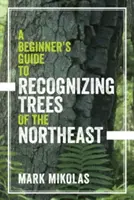 Ghidul unui începător pentru recunoașterea arborilor din nord-est - A Beginner's Guide to Recognizing Trees of the Northeast