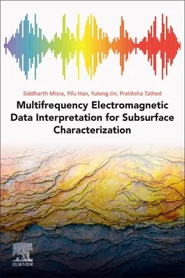 Interpretarea datelor electromagnetice multifrecvență pentru caracterizarea subsuprafeței - Multifrequency Electromagnetic Data Interpretation for Subsurface Characterization