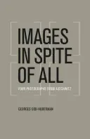 Images in Spite of All: Patru fotografii de la Auschwitz - Images in Spite of All: Four Photographs from Auschwitz