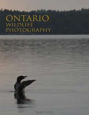 Fotografia faunei sălbatice din Ontario - Ontario Wildlife Photography