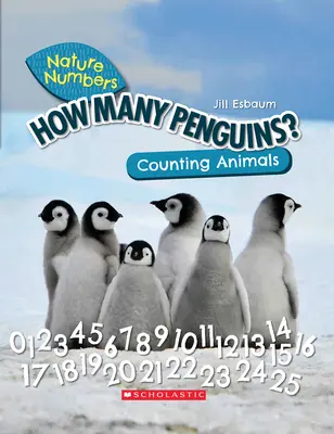 Câți pinguini? (Numere din natură) (Library Edition): Numărarea animalelor - How Many Penguins? (Nature Numbers) (Library Edition): Counting Animals