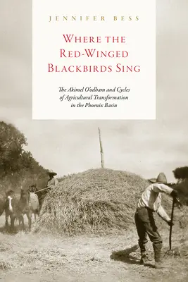 Unde cântă mierlele cu aripi roșii: Akimel O'Odham și ciclurile de transformare agricolă în bazinul Phoenix - Where the Red-Winged Blackbirds Sing: The Akimel O'Odham and Cycles of Agricultural Transformation in the Phoenix Basin