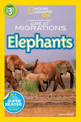Elefanți - Elephants