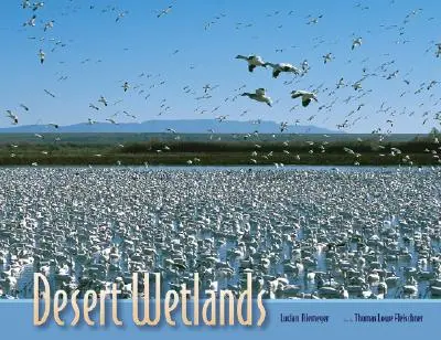 Zonele umede din deșert - Desert Wetlands