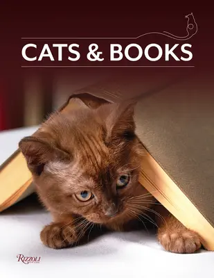 Pisici și cărți - Cats & Books