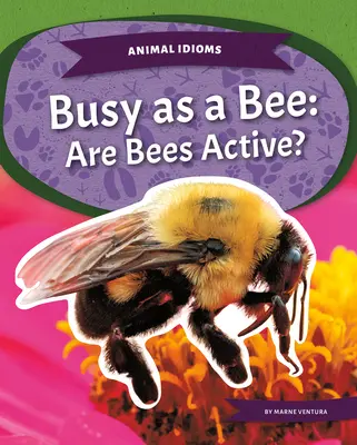Ocupat ca o albină: Albinele sunt active? - Busy as a Bee: Are Bees Active?