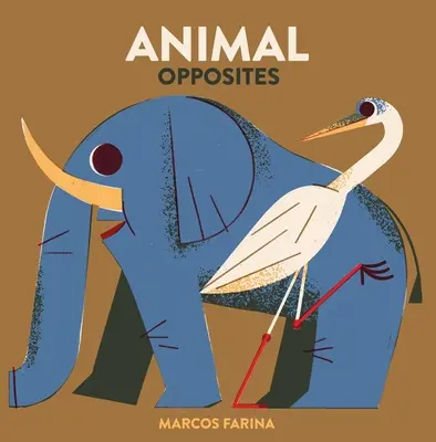 Babylink: Animale opuse - Babylink: Animal Opposites