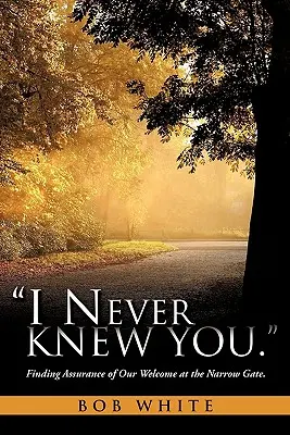 Nu te-am cunoscut niciodată. - I Never Knew You.