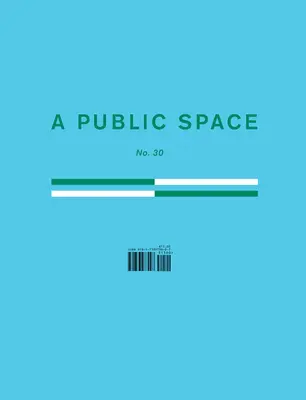 Un spațiu public nr. 30 - A Public Space No. 30
