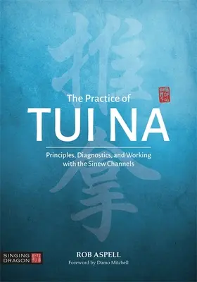 Practica de Tui Na: Principii, diagnosticare și lucrul cu canalele sinusurilor - The Practice of Tui Na: Principles, Diagnostics and Working with the Sinew Channels