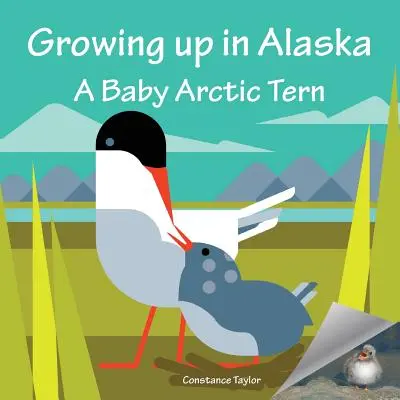 Creștere în Alaska: Un pui de barză arctică - Growing up in Alaska: A Baby Arctic Tern