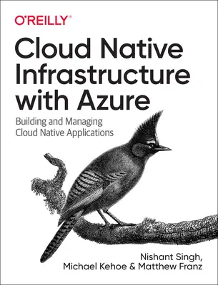 Cloud Native Infrastructure cu Azure: Construirea și gestionarea aplicațiilor native în cloud - Cloud Native Infrastructure with Azure: Building and Managing Cloud Native Applications