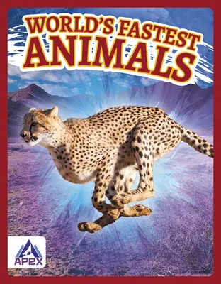 Cele mai rapide animale din lume - World's Fastest Animals