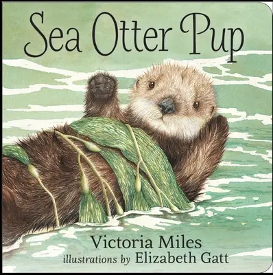 Cățeluș de vidră de mare - Sea Otter Pup