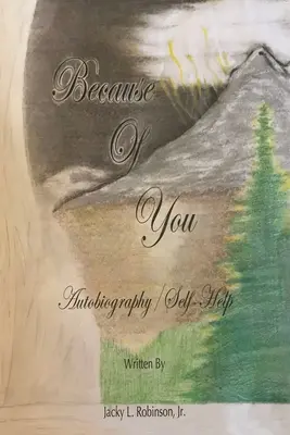 Din cauza ta - Because of You