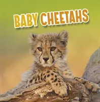 Pui de ghepard - Baby Cheetahs