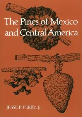 Pinii din Mexic și America Centrală - The Pines of Mexico and Central America