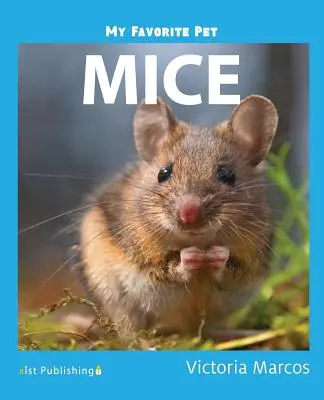 Animalul meu preferat: Șoareci - My Favorite Pet: Mice