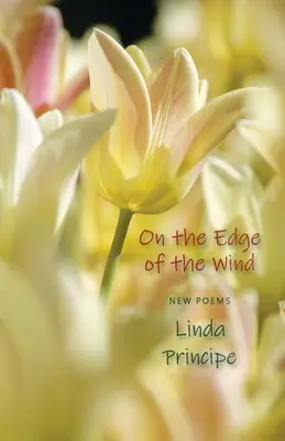 Pe firul vântului - On the Edge of the Wind