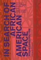 În căutarea spațiului afro-american: Redresarea rasismului - In Search of African American Space: Redressing Racism