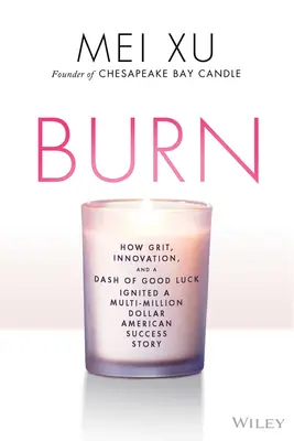 Burn: How Grit, Innovation, and a Dash of Luck Ignited a Multi-Million Dollar Success Story