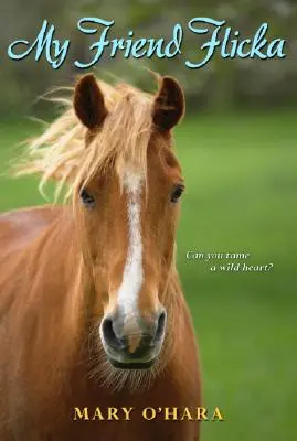 Prietena mea Flicka - My Friend Flicka