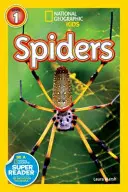 Păianjeni - Spiders